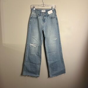 Hollister Low-Rise Baggy Denim Jeans
